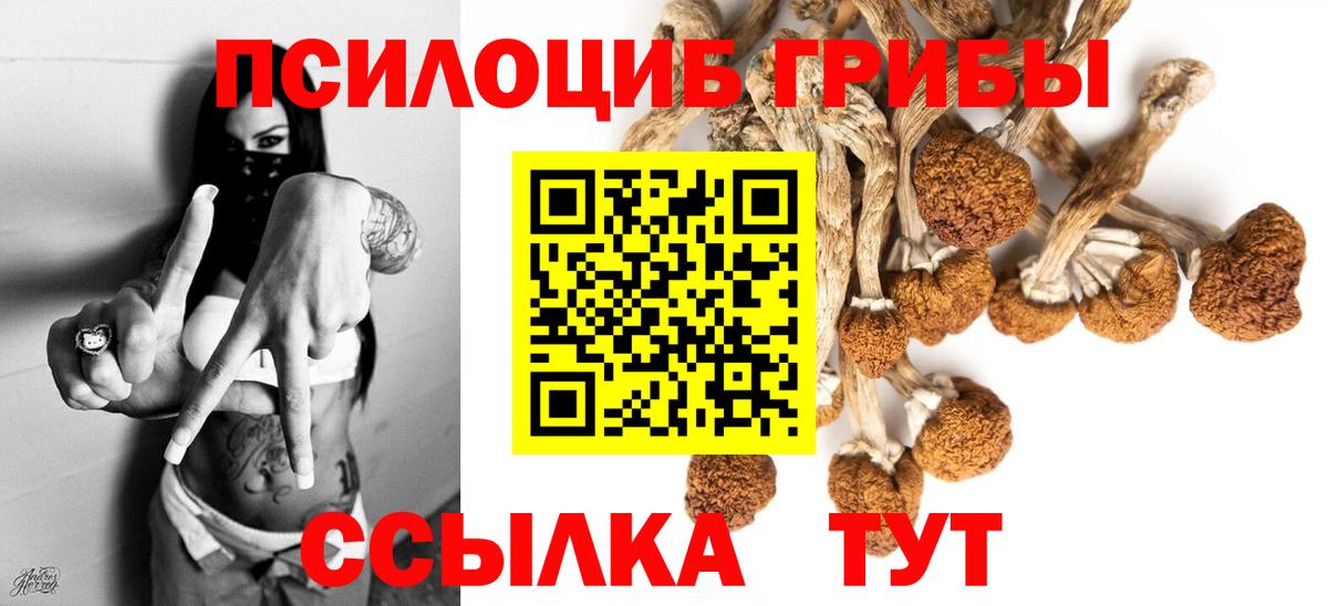 купить наркотик  Вход с VPN  Коммунар  Галлюциногенные грибы прущие грибы  Галлюциногенные грибы Psilocybine cubensis 